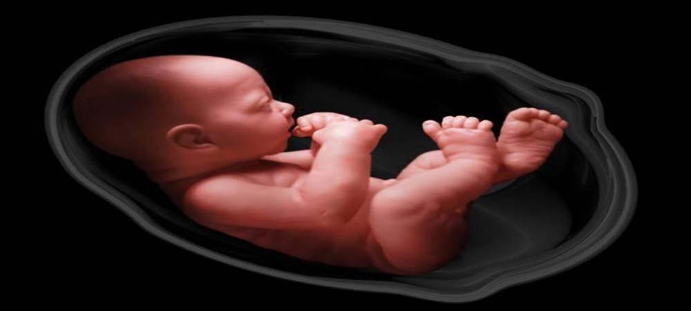 16 साल तक फ्रीज़ किए गए भ्रूण से हुआ एक स्वस्थ बच्चे का जन्म