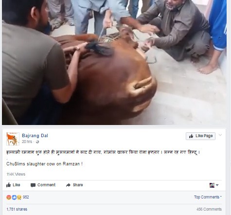 अभी-अभी: रमजान शुरू होते ही मुसलमानों ने काट दी गाय, वायरल VIDEO