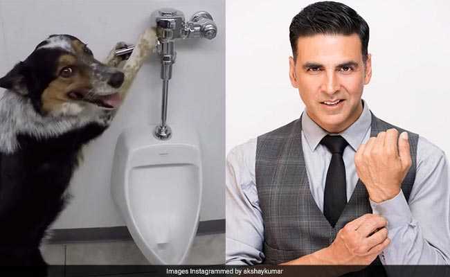 OMG: अक्षय कुमार ने तो कुत्ते को भी दे दी  टॉयलेट ट्रेनिंग 