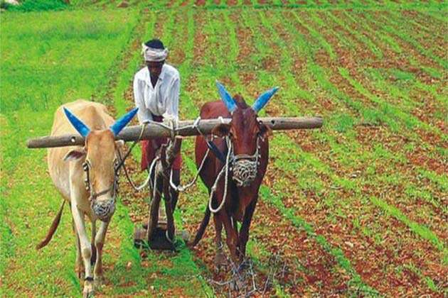 कृषि की ये धीमी रफ्तार किसानों की दोगुनी आय में बन सकती है बाधा... 