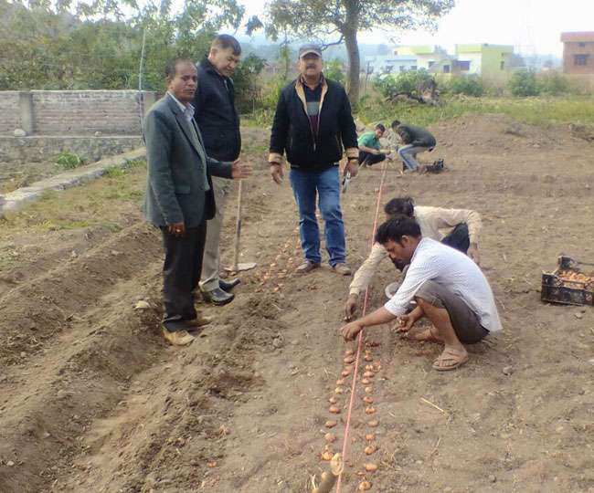 उत्तराखंड में ग्लैडियोलस के फूल किसानों को बना रहे सक्षम