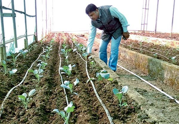 सूखे से लड़ रहे बुंदेलखंड के किसान इजरायली तकनीक से करेंगे खेती