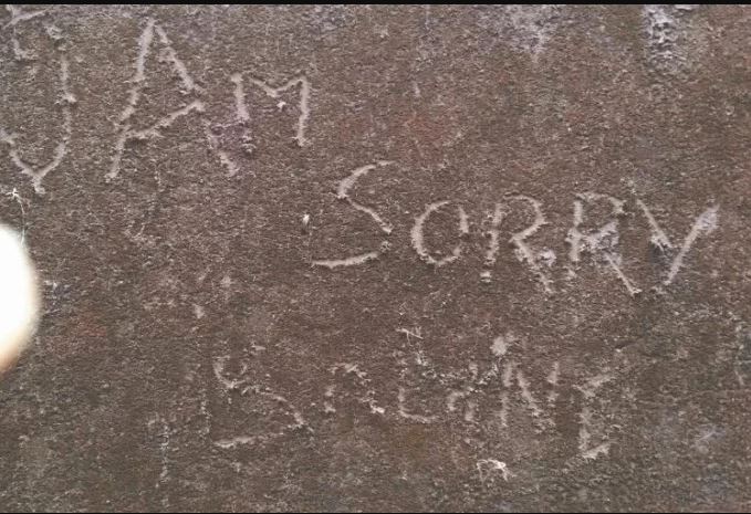 कुएं से मिली लाश, दीवारों पर लिखा 'आईएम सॉरी शालिनी'