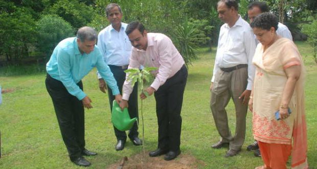पंडित दीनदयाल उपाध्याय जन्म शताब्दी वर्ष के उपलक्ष्य में शुरु किया गया वृक्षारोपण अभियान