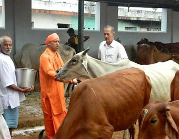 नवरात्र में यूपी के धार्मिक स्थलों पर मिलेगा, गाय के दूध