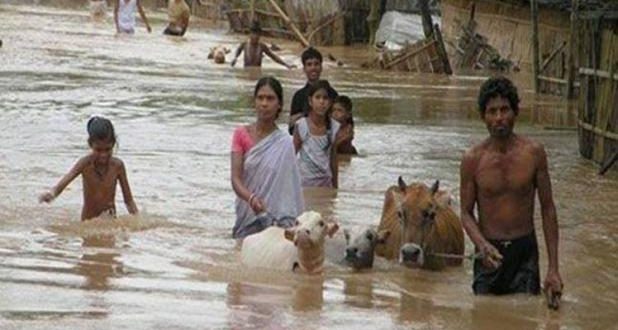 9 राज्यों की Flood Report सबसे ज्यादा यूपी, बिहार में मची तबाही