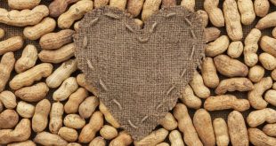 भोजन के साथ मूंगफली का सेवन करने से दूर होती है दिल की बीमारियां