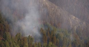 कनाडा: जंगलों में लगी आग के चलते इमरजेंसी को चौथी बार बढ़ाया गया