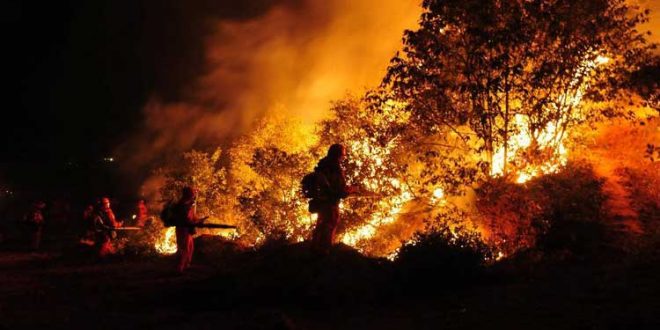 कैलिफोर्निया के जंगलों में भयानक आग लगने से हुआ बहुत नुकसान