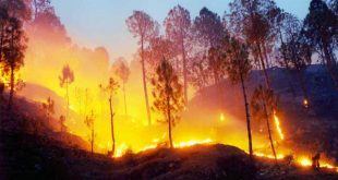 कैलिफोर्निया के जंगल की आग दो हफ्ते बाद भी काबू से बाहर