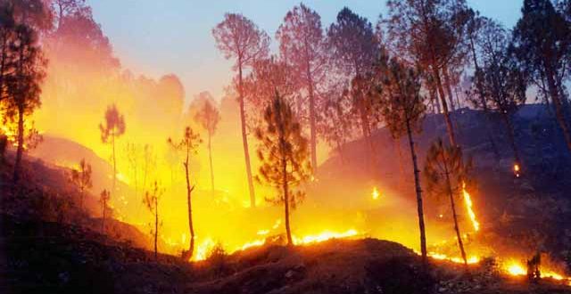 कैलिफोर्निया के जंगल की आग दो हफ्ते बाद भी काबू से बाहर