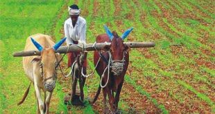 कृषि की ये धीमी रफ्तार किसानों की दोगुनी आय में बन सकती है बाधा...