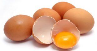 अगर अंडे का ये हिस्सा खायेंगे रोज, तो आपको मिलेंगे ये चमत्कारी फायदे