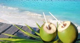 यूरिन इन्फेक्शन की समस्या को दूर करता है नारियल का पानी