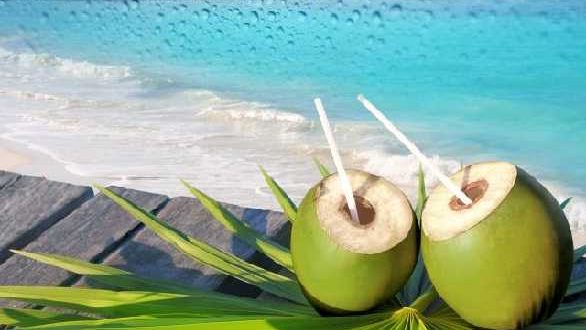 यूरिन इन्फेक्शन की समस्या को दूर करता है नारियल का पानी