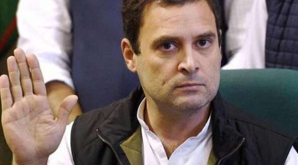 गुजरात चुनाव में मिली हार के बाद एक्शन मूड में दिखे राहुल गांधी...