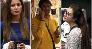 Bigg Boss 11: फिनाले टास्ट में विकास के खिलाफ खड़े हुए लव