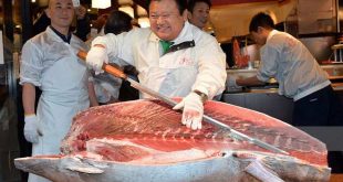 जापान में 2.5 करोड़ रुपये में बिकी एक टूना मछली, ये है खासियत