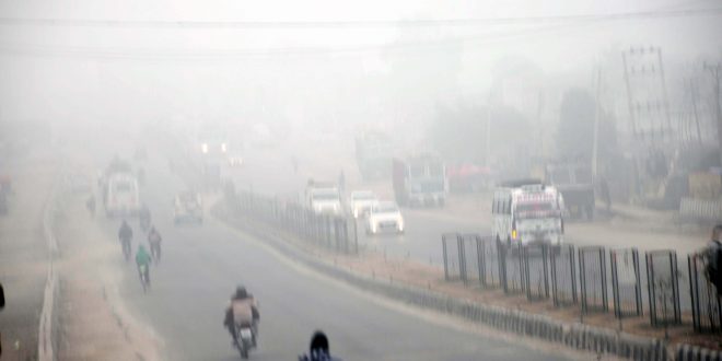 शरीर को 'गला' रही ठंड, कोहरा बना कई लोगों की मौत का 'काल'