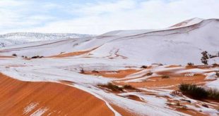 दुनिया के सबसे गर्म सहारा रेगिस्तान में जमी 16 इंच की बर्फ