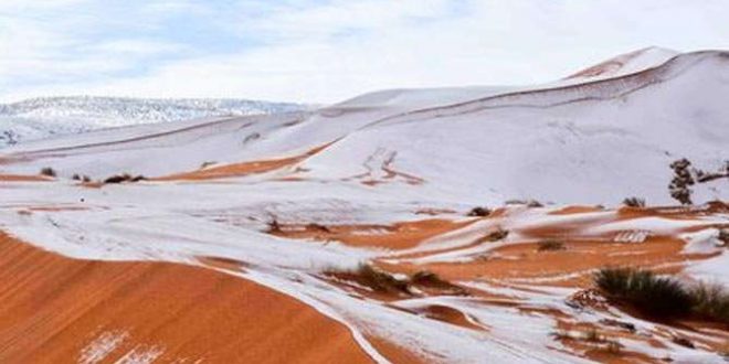 दुनिया के सबसे गर्म सहारा रेगिस्तान में जमी 16 इंच की बर्फ