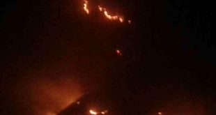 उत्तराखंड में जोशीमठ के जंगलों में नहीं थम रहा, आग लगने का सिलसिला
