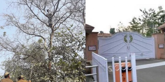 अभी-अभी: CM आवास पर गले में फंदा लगा पेड़ पर चढ़ा एक युवक, चारो तरफ मचा हड़कंप