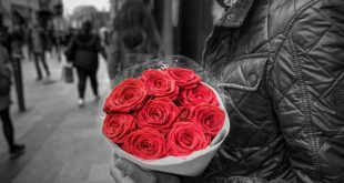 ROSE DAY : आपके प्यार को और ज्यादा क़रीब ला सकता है ये लाल गुलाब