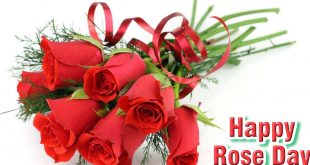 क्या आप जानते हैं ROSE DAY की ये एक खास कहानी के बारे में...