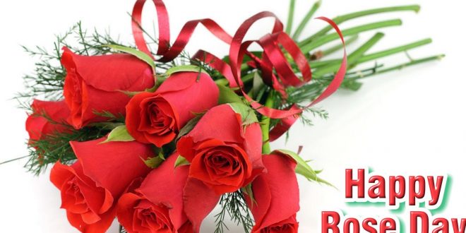 क्या आप जानते हैं ROSE DAY की ये एक खास कहानी के बारे में...