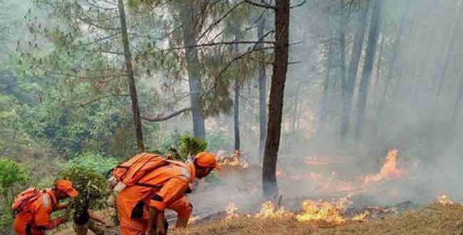 उत्तराखंड के चंपावत में मैक्स के खाई में गिरने से दस लोगों की हुई मौत