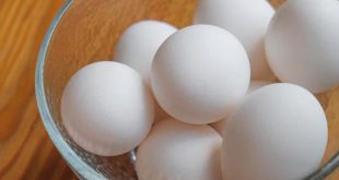 अंडे को लेकर वैज्ञानिकों ने किया बड़ा खुलासा, जानकर चौंक जाएंगे आप!