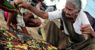 VIDEO: 106 साल की दादी के आगे बड़े-बड़े मास्टरशेफ भी फेल, देसी अंदाज में बनाती हैं मस्त पकवान