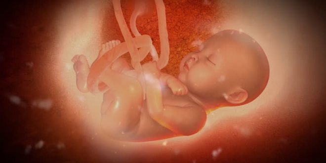 जानिए मां के गर्भ में बच्चा 9 माह ही क्यों रहता है? क्या होता इसका कारण