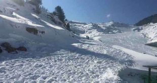 औली में बर्फ की कमी से नेशनल स्कीइंग प्रतियोगिता हुई रद