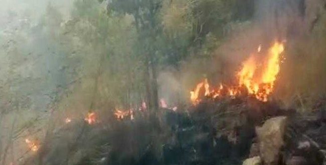 तमिलनाडु के जंगलों में लगी आग में नौ ट्रैकर्स की मौत, 8 की हालत गंभीर