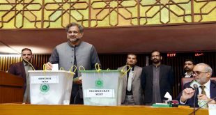 पाकिस्‍तानी सीनेट में शरीफ की पार्टी सबसे बड़ी बनकर उभरी, जानें इमरान को मिलीं कितनी सीटें