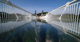 ग्लास ब्रिज: दुनिया का सबसे ऊंचा ब्रिज!