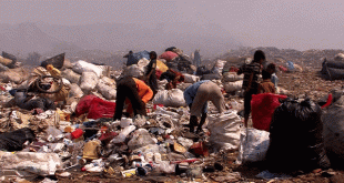 #बड़ी खबर: आईआईटी दिल्ली की मदद से अब कचरा बीनने वालों की होगी अच्छी आमदनी